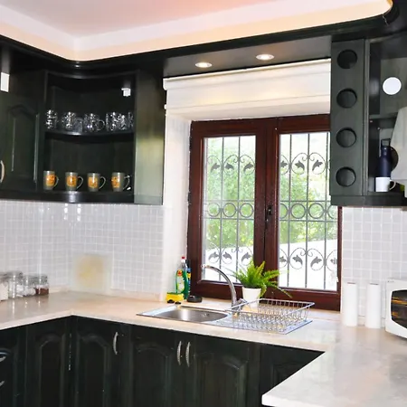 Zeytin C Villa *
