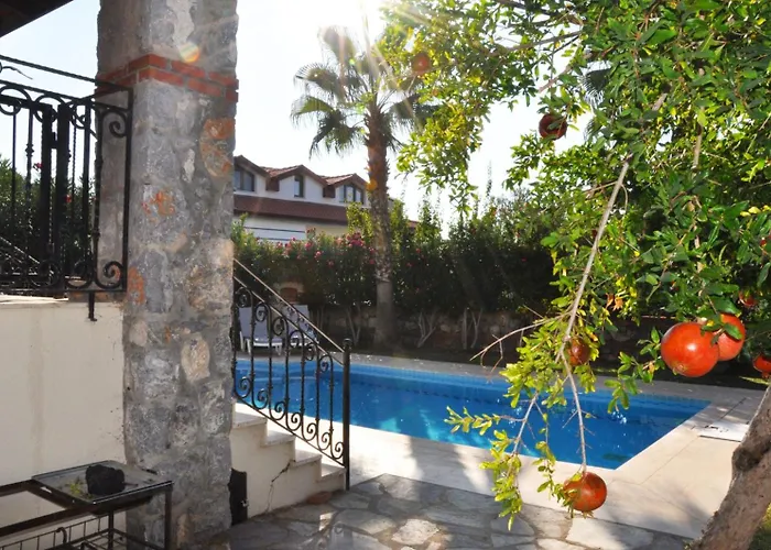 Zeytin C Vila Fethiye