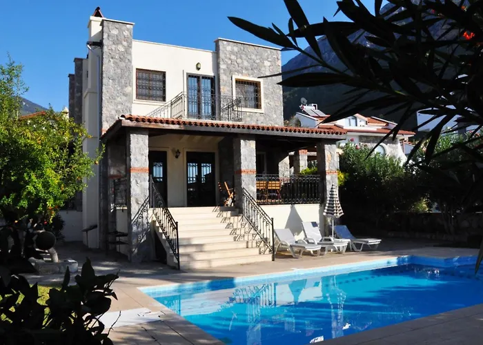 Zeytin C Villa *